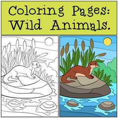 Wall Mural - Coloring Pages: Wild Animals. Little cute otter smiles.