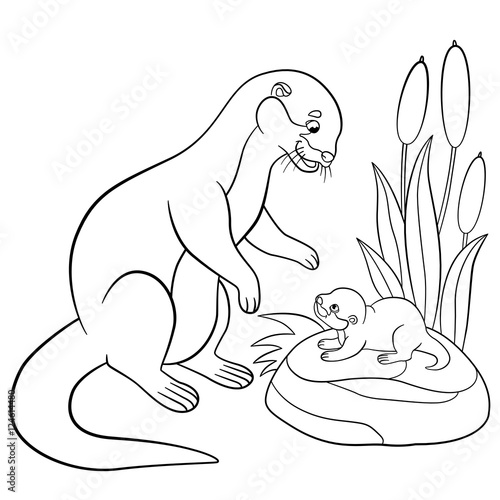 Coloring Pages Mother Otter Looks At Her Cute Baby Wall Mural Wallpaper Murals Ya Mayka Coloring Pages Mother Otter Looks At Her Cute Baby Wall Mural Wallpaper Murals Ya Mayka