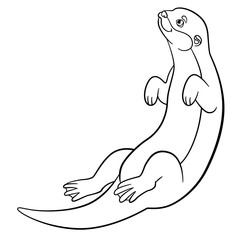 Wall Mural - Coloring pages. Little cute otter swims.