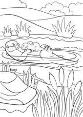 Wall Mural - Coloring pages. Mother otter swims with her baby.