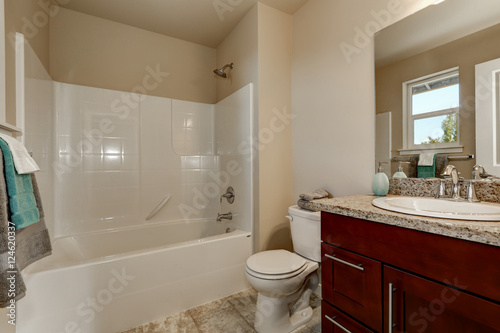 American Style Bathroom With Vanity Cabinet Toilet And Shower