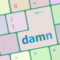 Poster - damn word on computer keyboard key