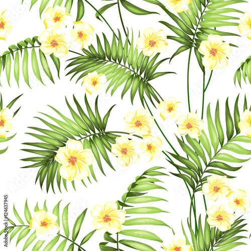 bezszwowy-tropikalny-kwiat-kwiaty-plumeria-i-palmy-dzungli-piekny-tkanina-wzor-z-tropikalnymi-kwiatami-odizolowywajacymi-nad-bialym-tlem-okwitniecie-kwitnie-dla-bezszwowego-deseniowego-tla