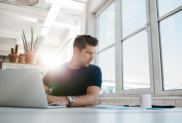 Wall Mural - Business man working at his desk