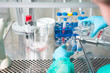 © IoaBal - Activity in the research laboratory to treat cancer disease