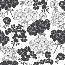 Monochrome Vector Pattern With Flowers Geranium.