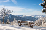 Fototapeta Boho - Schwarzwald im Winter