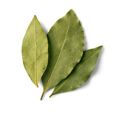 bay leaf on white