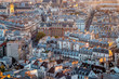 Aerial view of Paris, France. Rooftops and architecture.
