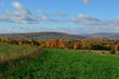 Fall Foliage on the hillside of upstate New York 