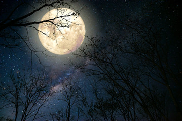 beautiful milky way star in night skies, full moon and old tree - retro fantasy style artwork with v
