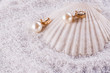 Golden earrings and sea shell
