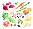 © Sonya illustration - Watercolor colorful set of vegetables