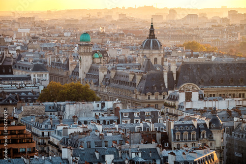 Plakat Vintage Paryż Francja strzał z katedry Notre-Dame z Sorbonne University w tle. Jesień strzał.