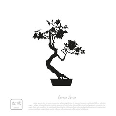 Black silhouette of a bonsai on a white background. Detailed ima