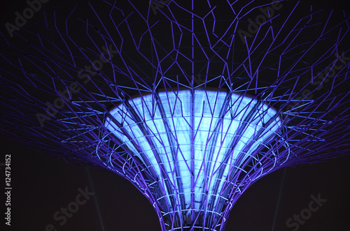 Photo Supertree Grove, Gardens by the Bay in Singapore