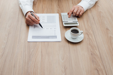 Wall Mural - Businessman checking financial reports