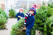 © Irina Schmidt - two little kid boys buying christmas tree in outdoor shop