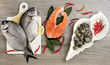 © TTLmedia - top view of fresh fish and mollusk selection