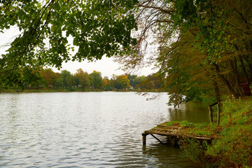 Wall Mural - Autumn lake