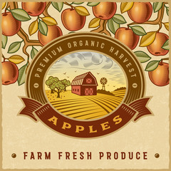 Wall Mural - Vintage colorful apple harvest label