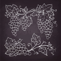 Canvas Print - grape branches drawn on chalkboard..