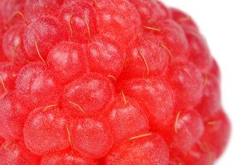 Poster - Red Raspberry Close-up on White Background