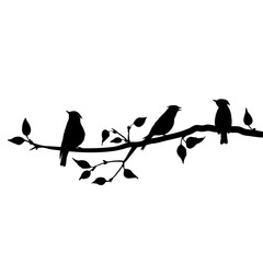 birds at tree silhouettes