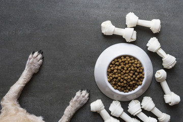 dog food and dog paw on black background