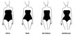 © bus109 - Woman body types. Apple, pear, rectangle, hourglasses shapes. Vector illustration