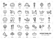 Vegetables Icon Isolated, Spices Logo. Trendy Thin Line Art Style. Fresh Vegetarian Food, Vegetable Garden: Tomato, Salad, Carrot, Pepper, Pumpkin, Pea, Onion, Dill, Parsley And Etc. Vector