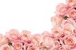 Border of Roses with space for text