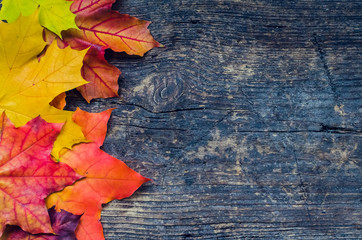 Autumn background with fall leaves