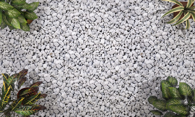 3d rendering top view plant on pebble ground with space in the center
