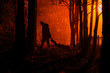 Maniac drags his dead victim. Maniac kills his victim in the night deserted park. Silhouettes in night foggy forest