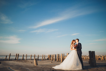 Elegant stylish happy wedding couple, bride, gorgeous groom on the background of sea and sky