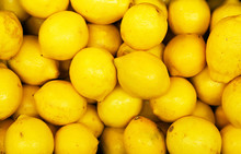Lots Of Lemons Free Stock Photo - Public Domain Pictures
