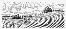 Rural Landscape With Hills, In The Graphic Style, Illustration Is Hand-drawn.