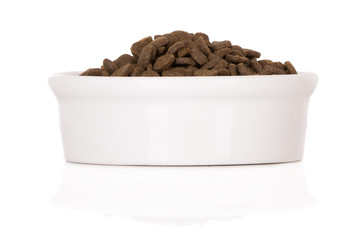 bowl of pet food