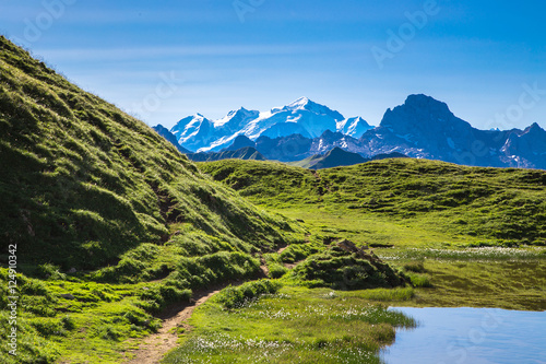 widok-z-zielonej-laki-na-gory-i-szczyt-mont-blanc-na-tle-blekitnego-nieba