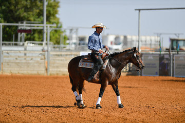 Wall Mural - The side view of a rider in cowboy chaps, boots and hat on a horseback performs an exercise during a competition