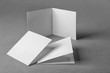 © Africa Studio - Blank booklets on grey background