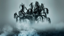 Spooky Tree Dark Night ./Halloween Horror Blackground.