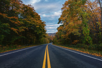 Wall Mural - Autumn in bear mountain New York. View of an empty road between the fall golden foliage