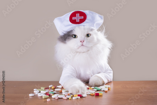 Cuadros en Lienzo Cat in a suit of the doctor gives medicine