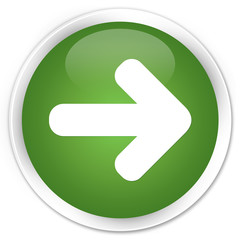 Wall Mural - Next arrow icon soft green glossy round button