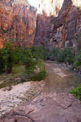 Poster - Sheer cliffs confine the Virgin River