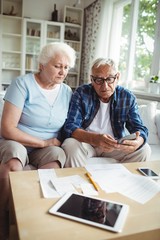 Wall Mural - Worried senior couple checking the bills