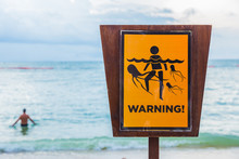 Jellyfish Warning Sign At A Beach In Thailand