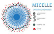 Cationic micelle infographics - layer of charged monomers, counter ions and water molecules.